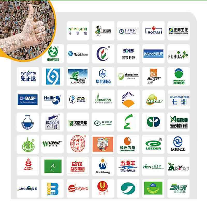 Drum Filling Machine